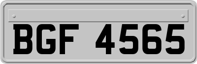 BGF4565