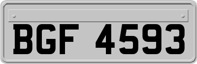 BGF4593