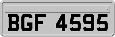 BGF4595
