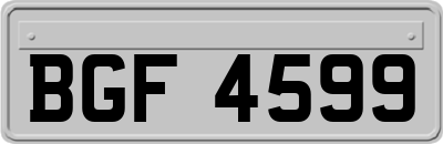 BGF4599