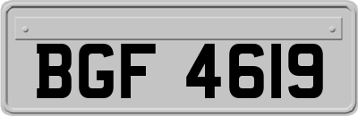 BGF4619