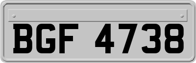 BGF4738
