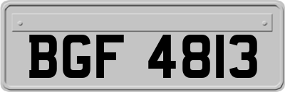BGF4813