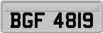 BGF4819