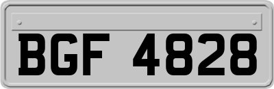 BGF4828