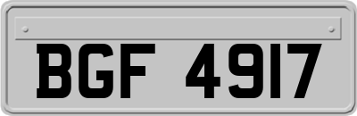 BGF4917