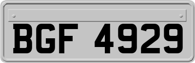 BGF4929