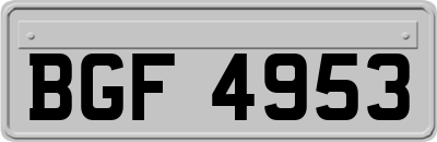 BGF4953