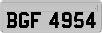 BGF4954