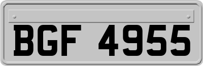 BGF4955