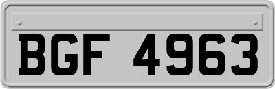 BGF4963