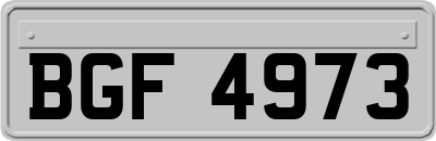 BGF4973