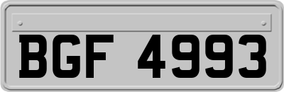 BGF4993