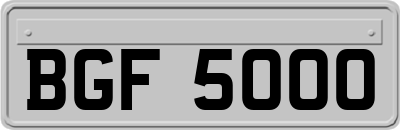 BGF5000