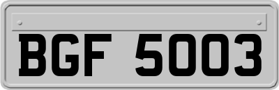 BGF5003