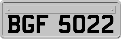 BGF5022