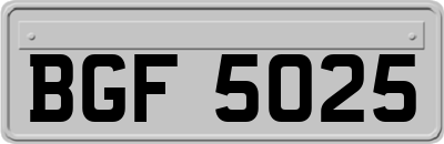 BGF5025