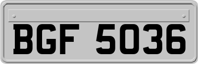 BGF5036