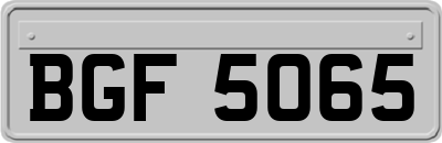 BGF5065