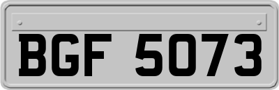 BGF5073