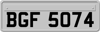 BGF5074