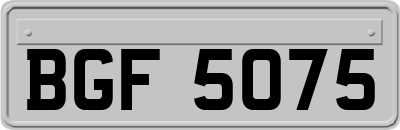 BGF5075