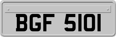 BGF5101