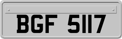 BGF5117