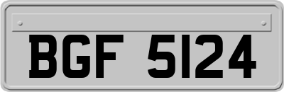 BGF5124