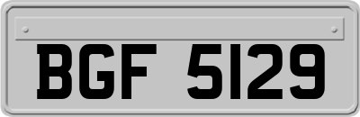 BGF5129