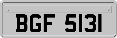 BGF5131