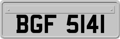 BGF5141