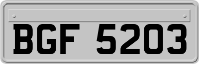 BGF5203