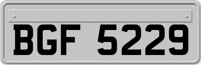 BGF5229
