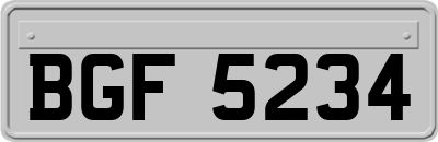 BGF5234