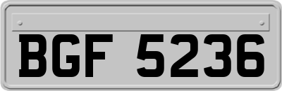 BGF5236