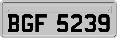 BGF5239