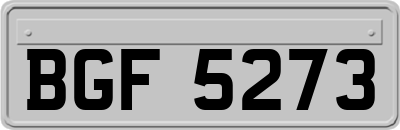 BGF5273