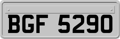 BGF5290