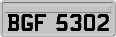 BGF5302