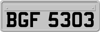 BGF5303