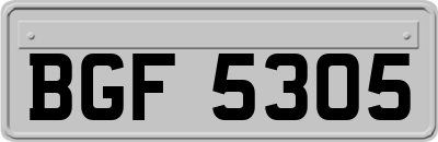 BGF5305