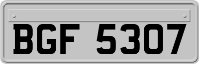 BGF5307