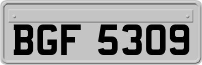 BGF5309