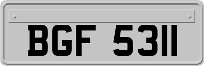 BGF5311