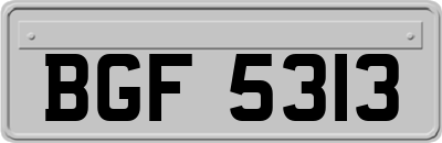 BGF5313