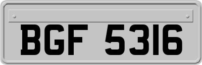 BGF5316