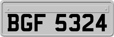 BGF5324