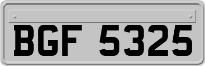 BGF5325