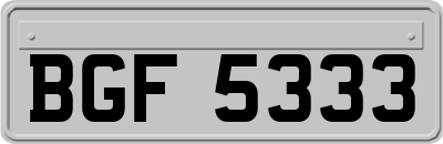 BGF5333